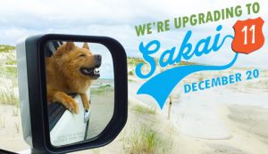 We're upgrading to Sakai 11 December 20, with image of a dog in the rearview mirror