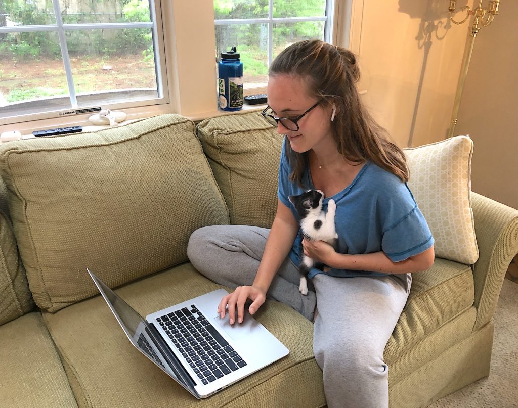 Anne Claire Foreman holds her kitten while working on her laptop
